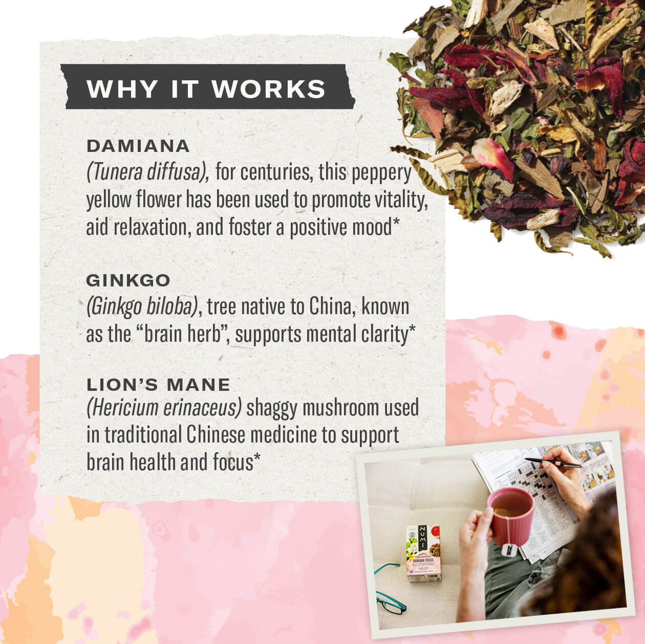 Damiana Focus - Image 3