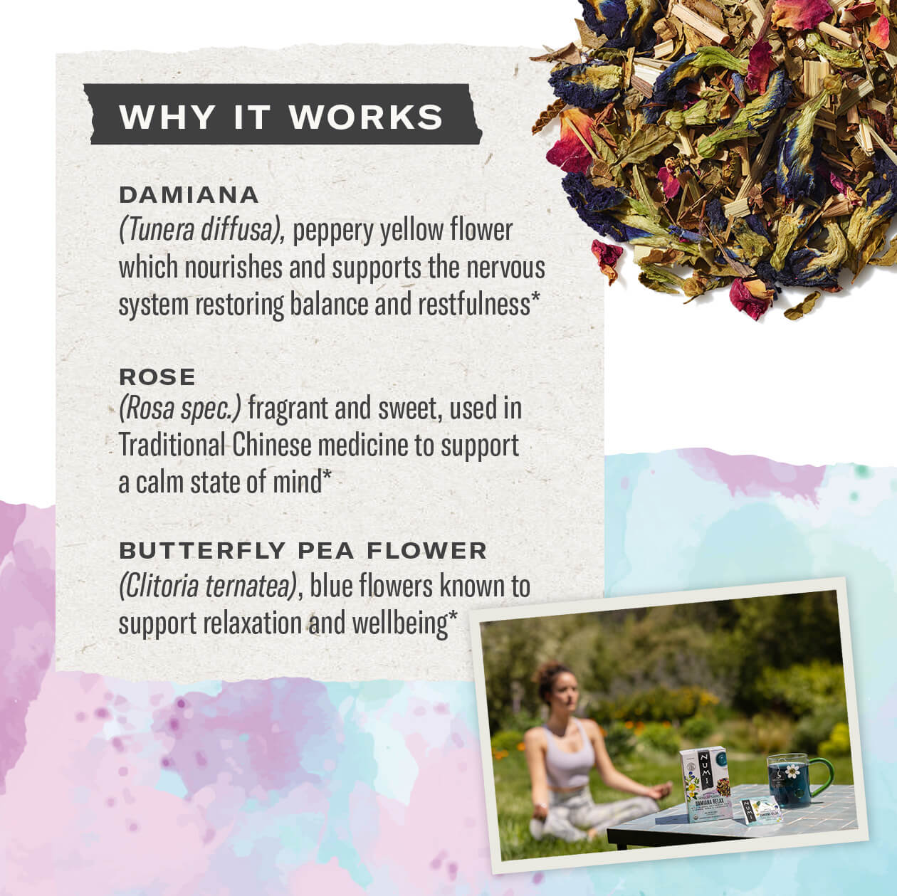 Damiana Relax - Image 3