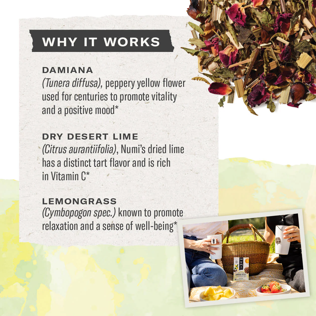 Damiana Uplift - Image 3