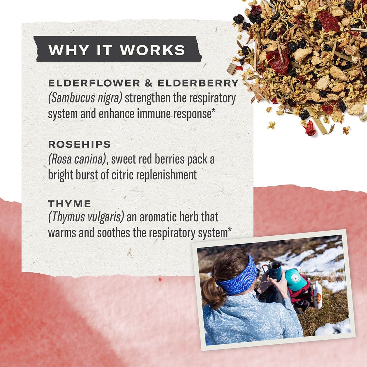 Immune Support - Image 3