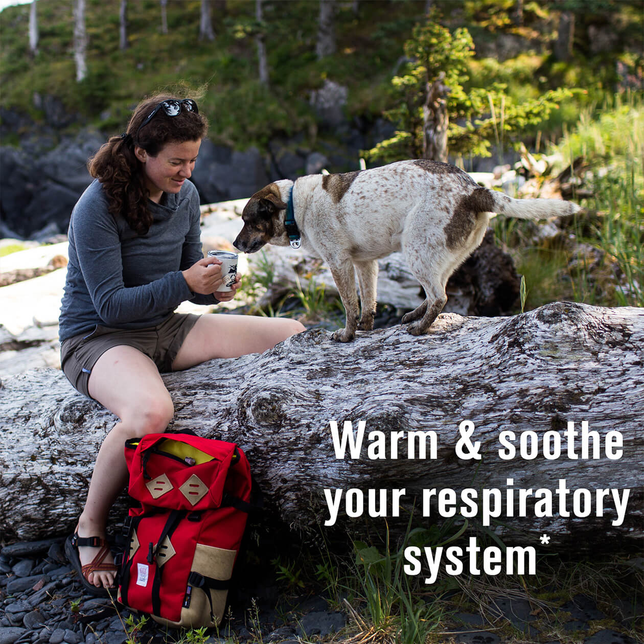 Immune Support - Image 4