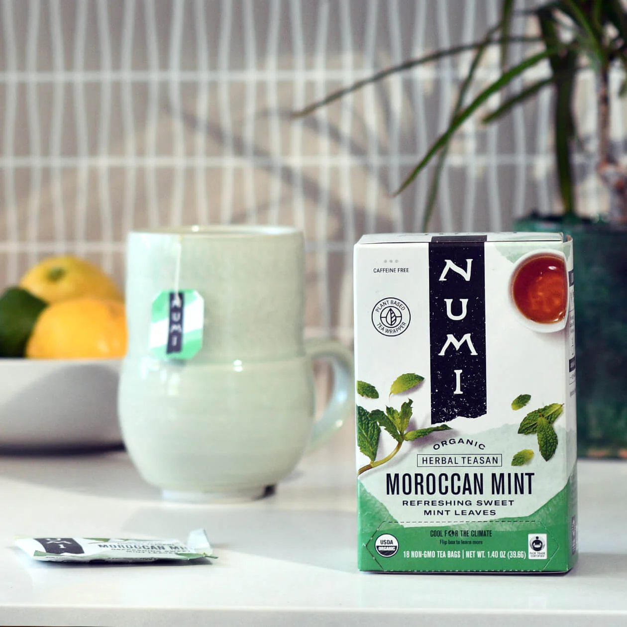 Moroccan Mint - Image 4